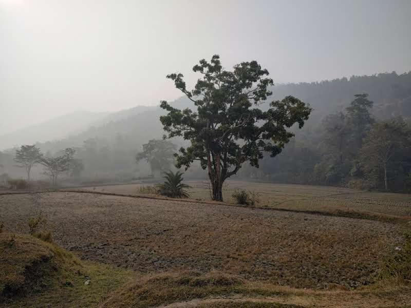 Kurchi Homestay Ghatshila Exterior photo